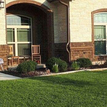 Hawx Pest Control - My lawn before Hawx started providing service - Pest Control Near Me - Austin, Texas