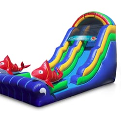 PartyZone Event Rentals - Ragin Cajun Water Slide Rental - New Orleans, LA