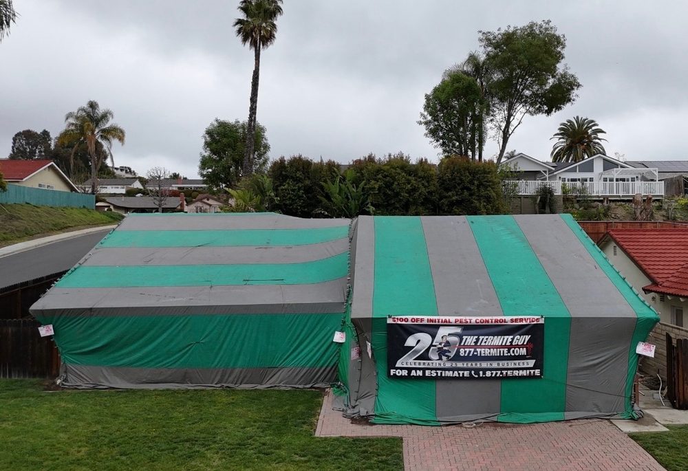 Slide of The Termite Guy