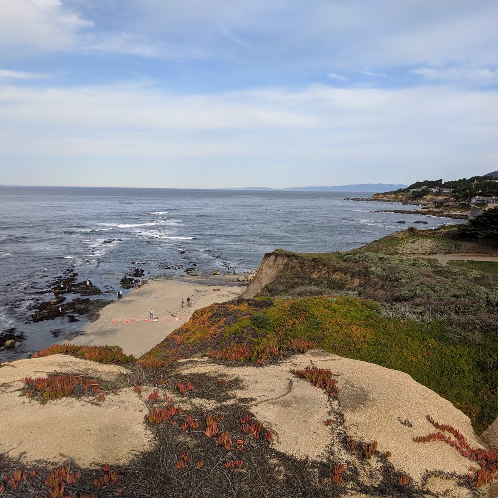 Fitzgerald Marine Reserve - View from trail - Parks Near Me - Moss Beach, California