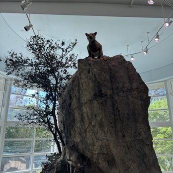 Lindsay Wildlife Experience - Museums Near Me - Walnut Creek, California Lindsay Wildlife Experience - Museums Near Me - Walnut Creek, California
