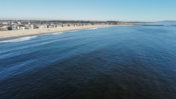Venice Fishing Pier by null