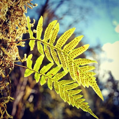 Twin Falls Trailhead by null