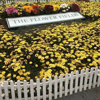 The Flower Fields - Venues & Event Spaces Near Me - Carlsbad, California