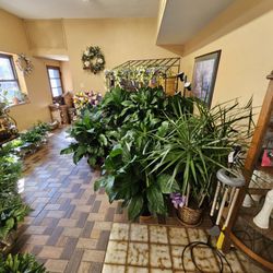 Lesher's Flowers - Plants for the home wind chimes and gardenstones with famous quotes