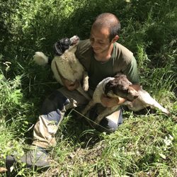 Il Poggio alle Ville - Our Truffle hunt guide and his two dogs