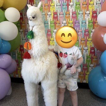 Sugar Llamas - Coffee & Tea Near Me - Overland Park, Kansas Sugar Llamas - Coffee & Tea Near Me - Overland Park, Kansas