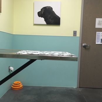 ashley veterinary clinic