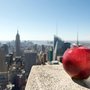 MacMillions, LLC Apple Resellers