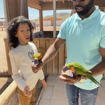 Rooster Cogburn Ostrich Ranch - Feeding the Lorikeets. - Petting Zoos Near Me - Picacho, Arizona Rooster Cogburn Ostrich Ranch - Feeding the Lorikeets. - Petting Zoos Near Me - Picacho, Arizona