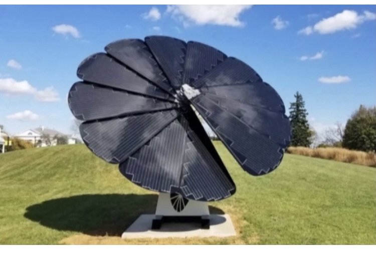 Slide of Polar Bear Industries