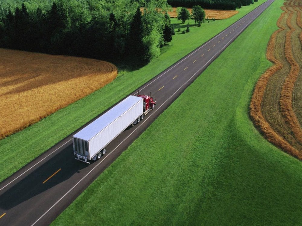 MARCO POLO MOVING Updated September 2024 24 Reviews 141 Elmwood