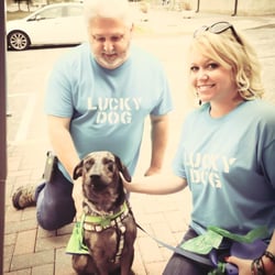 Lucky Dog Grooming & Boutique