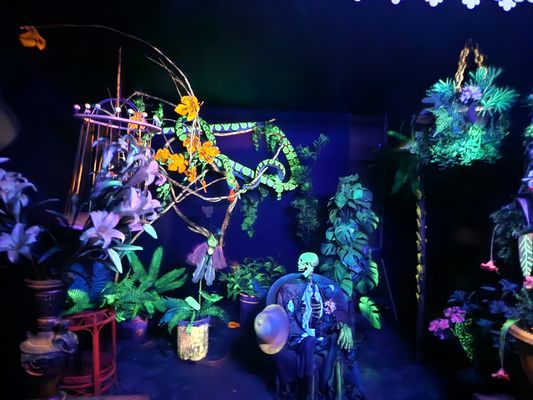 Enchanted Forest by null