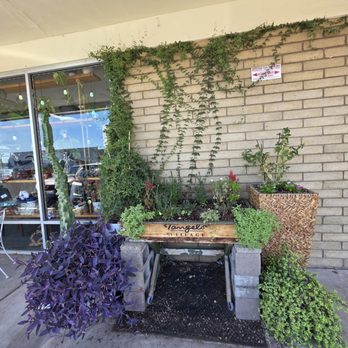 My Little Posy - Florists Near Me My Little Posy - Florists Near Me