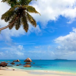Andreasen Travel And Tours
