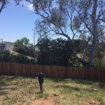 Charles Tree Service - So much room after the removal! - Tree Services Near Me - Lemon Grove, California