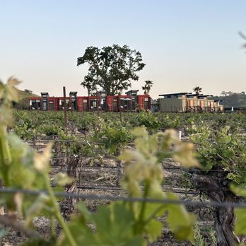 Geneseo Inn - The view from the Vineyard to the hotel. Walkable trails. Respected the surroundings and the environment. - Bed & Breakfast Near Me - Paso Robles, California