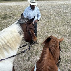 Gus Trent Horse Ranch - Instructions on point