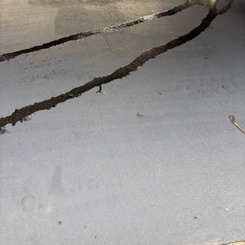 Topline Tire & Auto - Oil leaking after getting so called oil change - Tires Near Me - Spring Hill, Florida Topline Tire & Auto - Oil leaking after getting so called oil change - Tires Near Me - Spring Hill, Florida
