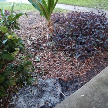 Pierpoint Apartments - It's May...why are we still coated in rotting leaves? - Apartments Near Me - Port Orange, Florida Pierpoint Apartments - It's May...why are we still coated in rotting leaves? - Apartments Near Me - Port Orange, Florida