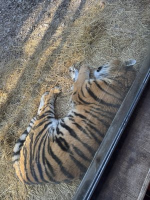 Great Plains Zoo by null