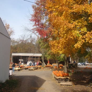 Styer Orchard - pumpkin and gourd hay ride - Pick Your Own Farms Near Me - Langhorne, Pennsylvania