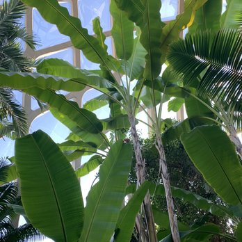 Denver Botanic Gardens - Tropical - Botanical Gardens Near Me - Denver, Colorado