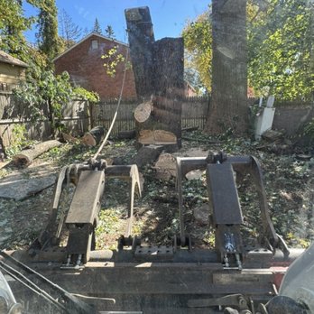 Green Smiled - Tree service - Landscaping Near Me - East Hartford, Connecticut Green Smiled - Tree service - Landscaping Near Me - East Hartford, Connecticut