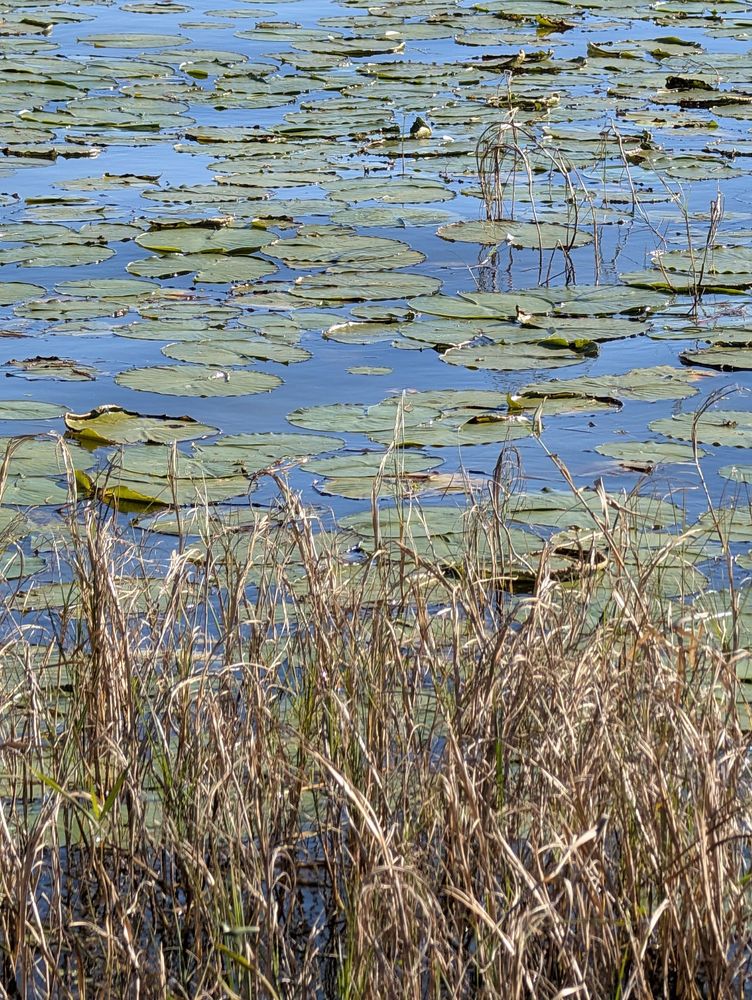 The Hickory Point Recreation Facility Logo
