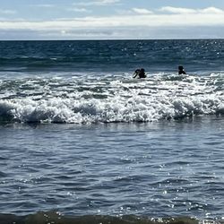 Beachside Rentals, Inc. - 24 steps on a private path down to the sandy quiet strip of beach for long walks, rock hunting, or ocean adventures.