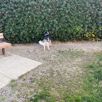 Bark Park - Dog Parks Near Me