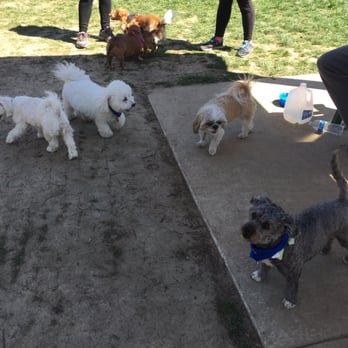 Leawoof Dog Park - Little dog side - Dog Parks Near Me - Leawood, Kansas Leawoof Dog Park - Little dog side - Dog Parks Near Me - Leawood, Kansas