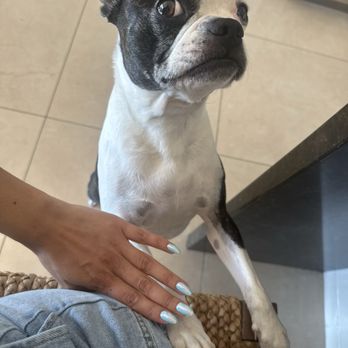 Urbane Nail Care - Nail Salons Near Me - Monrovia, California Urbane Nail Care - Nail Salons Near Me - Monrovia, California