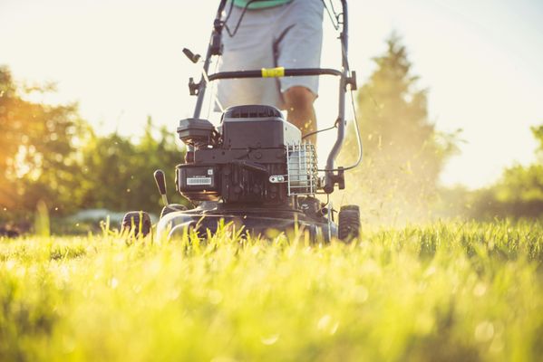 Landscape services available. - We are available to do single cuts and weekly cuts. call us today for your free estimate.