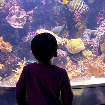 Discovery Place Science - Museums Near Me - Charlotte, North Carolina