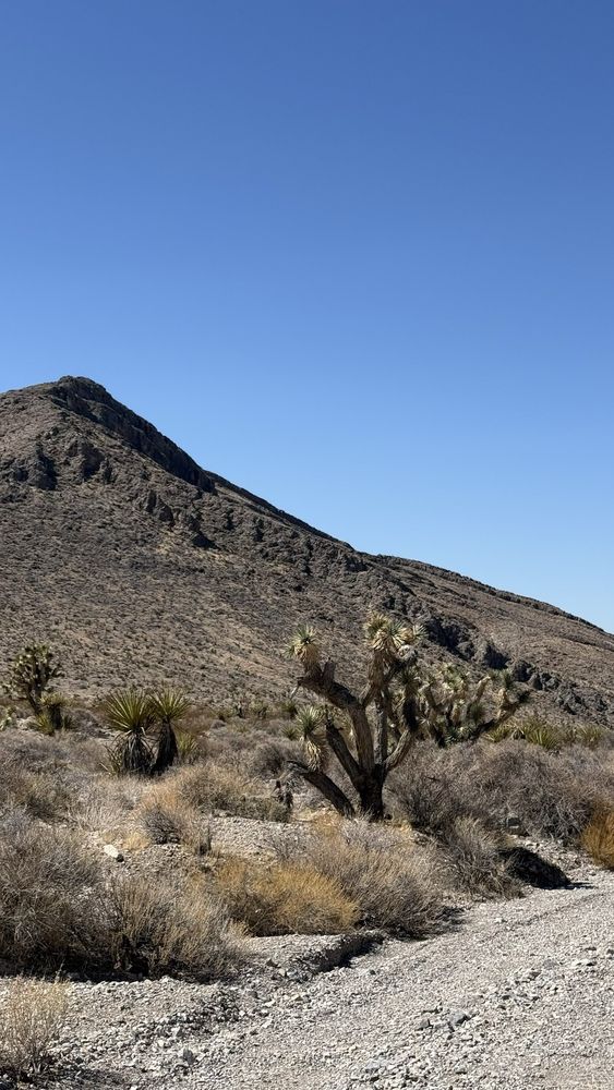 EagleRider Las Vegas Off Road