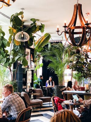 Café-Flor / Bar 21 by null