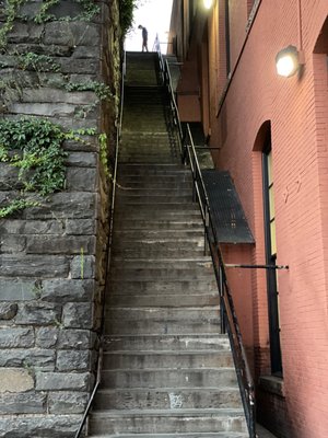 The Exorcist Steps by null