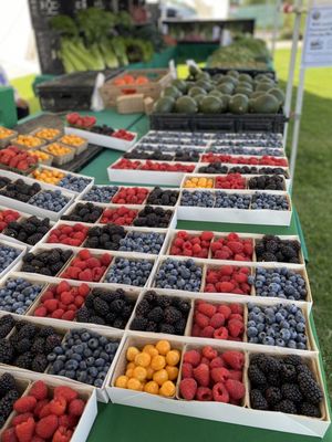 Santa Paula Certified Farmers Market by null