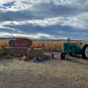 Lone Creek Farms - Photo ops - Attraction Farms Near Me - Franktown, Colorado Lone Creek Farms - Photo ops - Attraction Farms Near Me - Franktown, Colorado