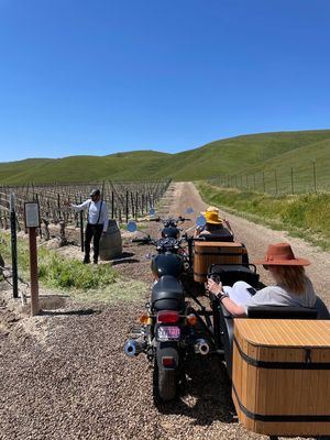 Third Wheel Tours by null