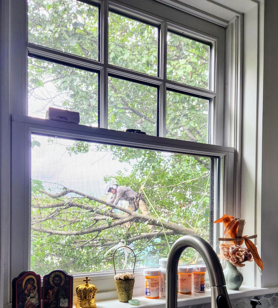 Keith's Tree Removal - tree service in Wakefield, MA