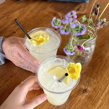 Crazy Daisies - Nurseries & Gardening Near Me - Syracuse, New York
