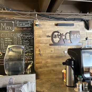 The Cat Cafe - Coffee & Tea Near Me - San Diego, California The Cat Cafe - Coffee & Tea Near Me - San Diego, California