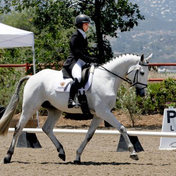 Gold Medal Equestrian - Contalli - Horseback Riding Near Me - Templeton, California Gold Medal Equestrian - Contalli - Horseback Riding Near Me - Templeton, California