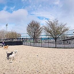 Dog run Dog run