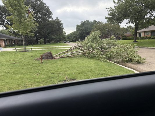 Green Land Landscaping