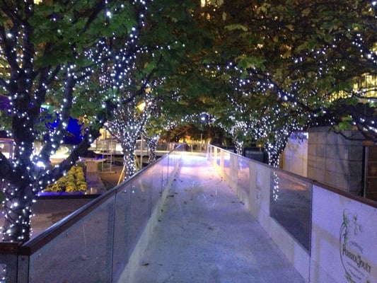 Ice Rink Canary Wharf by null
