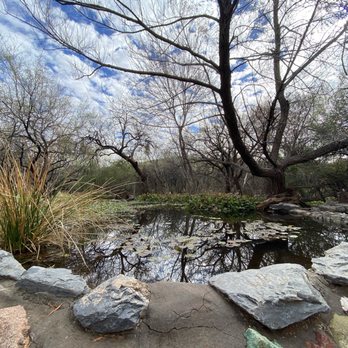 SPUR CROSS RANCH CONSERVATION AREA - Updated January 2026 - 272 Photos ...